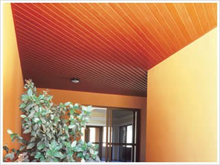 Forro de PVC e Porta Sanfonada